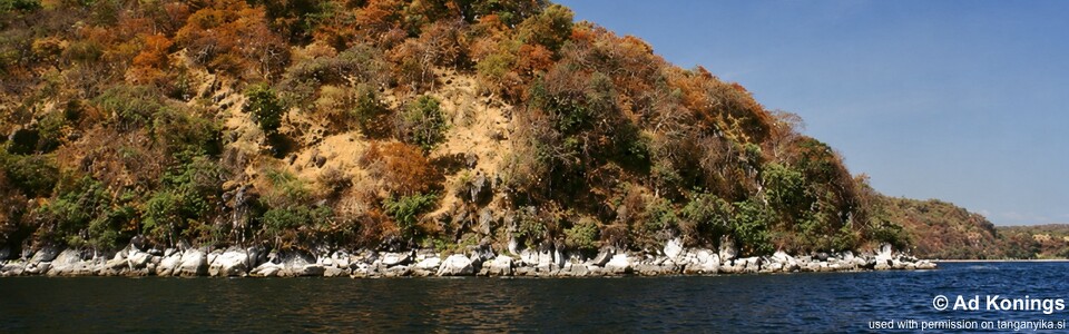 Katili, Lake Tanganyika, Tanzania