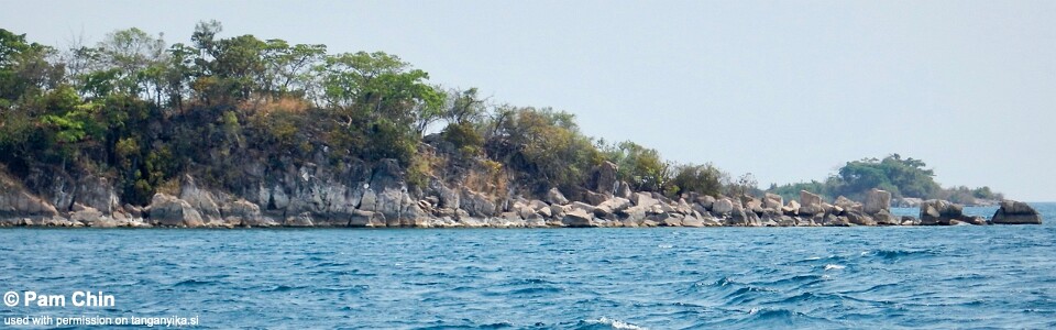 Katumbi Point, Lake Tanganyika, Tanzania