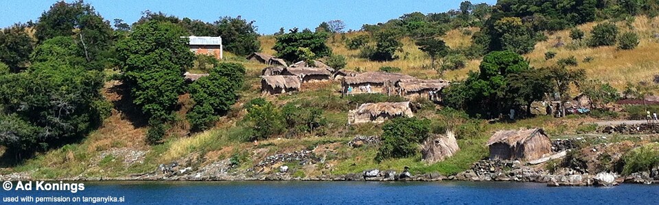 Kibige Island, Lake Tanganyika, DR Congo