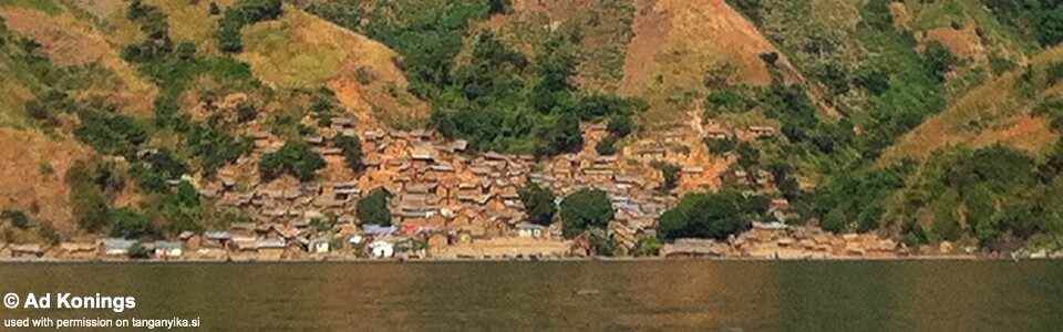 Kiliza, Lake Tanganyika, DR Congo