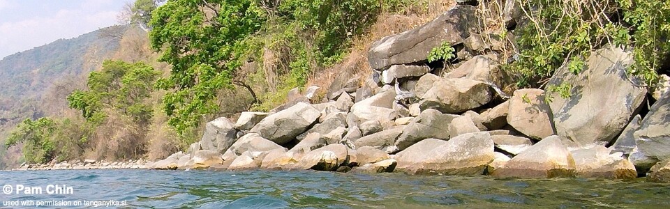 Luagala Point, Lake Tanganyika, Tanzania