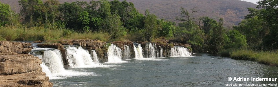 Lufubu River, Lake Tanganyika, Zambia