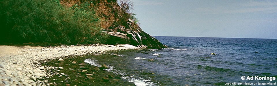 Lumbye Bay, Lake Tanganyika, Tanzania