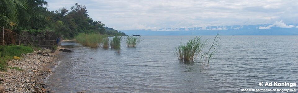 Makombe, Lake Tanganyika, Burundi