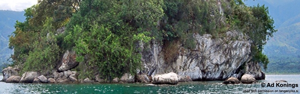Mboko Island, Lake Tanganyika, DR Congo