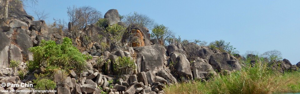 Namlimba (Nganga) Point, Lake Tanganyika, Tanzania