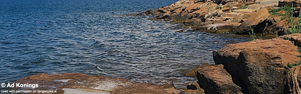 Nyanza-Lac, Lake Tanganyika, Burundi