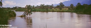 Ruzizi River