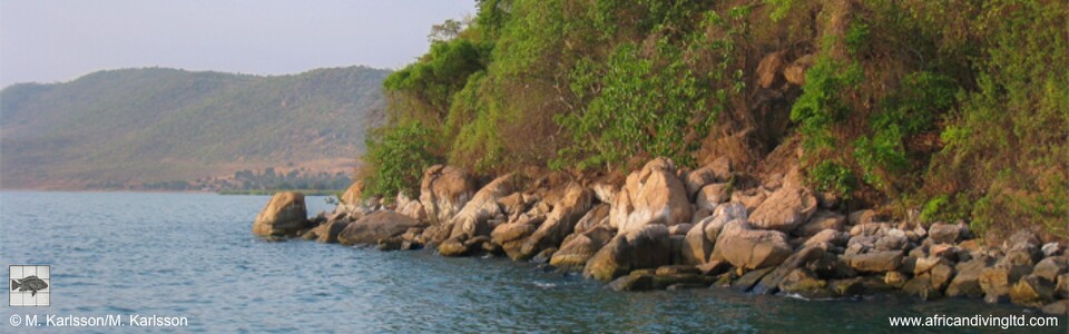 Taala (Lusembwa) Point, Lake Tanganyika, Tanzania