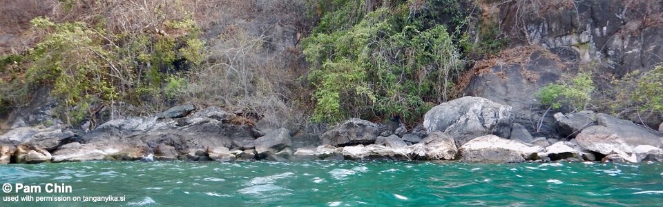 Bondola Bay, Lake Tanganyika, Tanzania