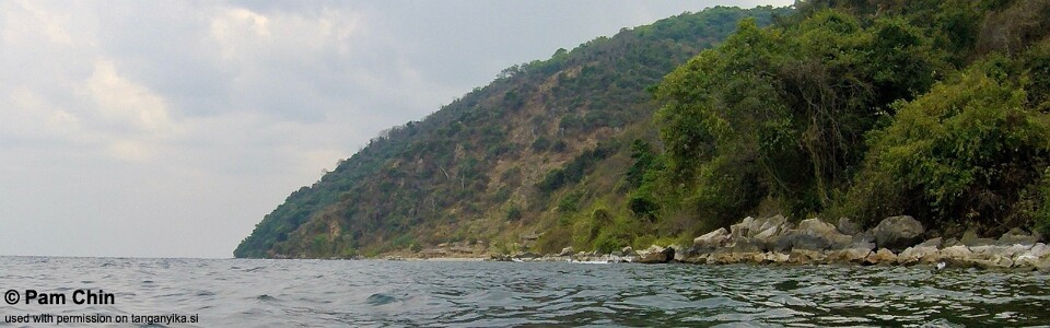 Halembe, Lake Tanganyika, Tanzania