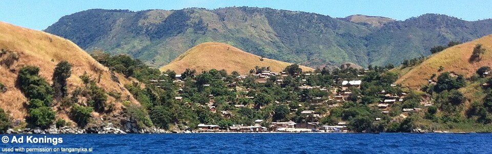 Kabimba, Lake Tanganyika, DR Congo