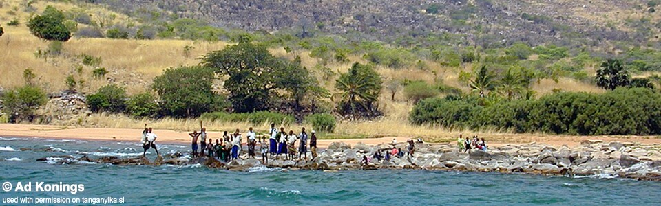 Kafungi, Lake Tanganyika, Tanzania