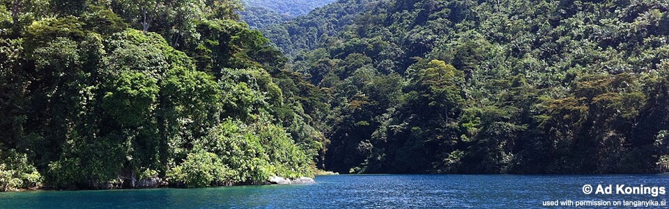 Kilima, Lake Tanganyika, DR Congo
