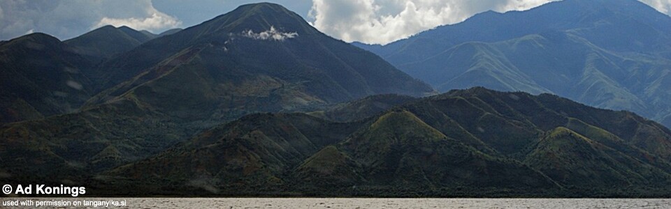 Luhanga, Lake Tanganyika, DR Congo