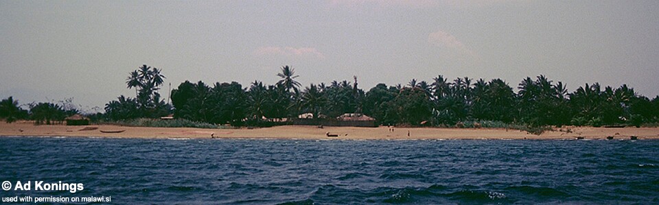 Magambo, Lake Tanganyika, Tanzania