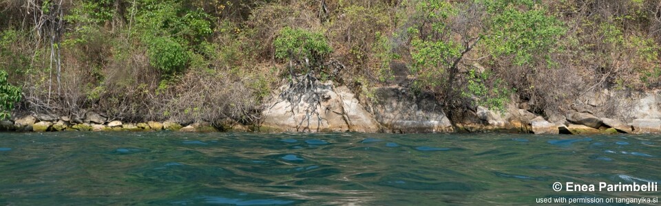 Musofwe Bay, Lake Tanganyika, Tanzania