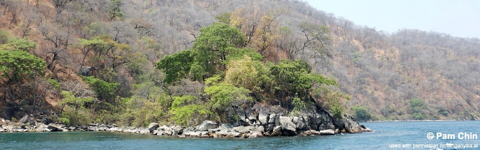 Nkwasi Point (Island), Lake Tanganyika, Tanzania