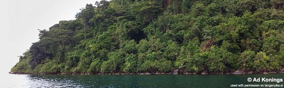 Rubumba, Lake Tanganyika, DR Congo