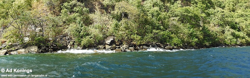 Siyeswe Bay, Lake Tanganyika, Tanzania